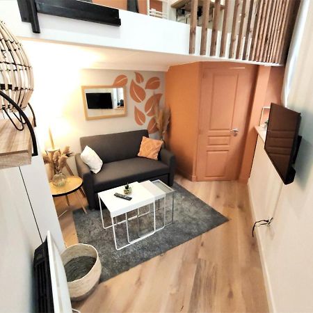 Apartmán Le Lanternier - Hypercentre Les Quais - Netflix Toulouse Exteriér fotografie
