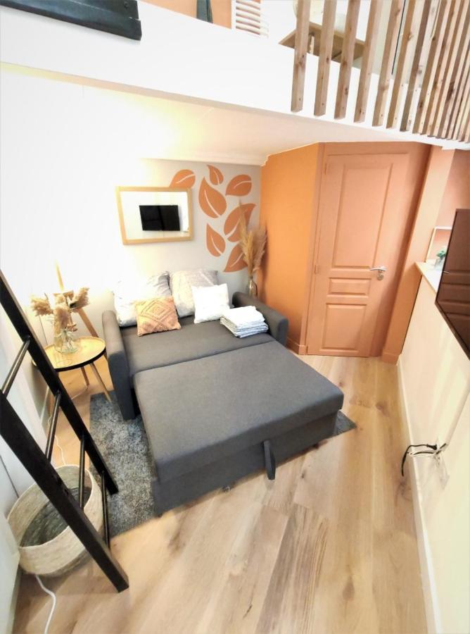 Apartmán Le Lanternier - Hypercentre Les Quais - Netflix Toulouse Exteriér fotografie